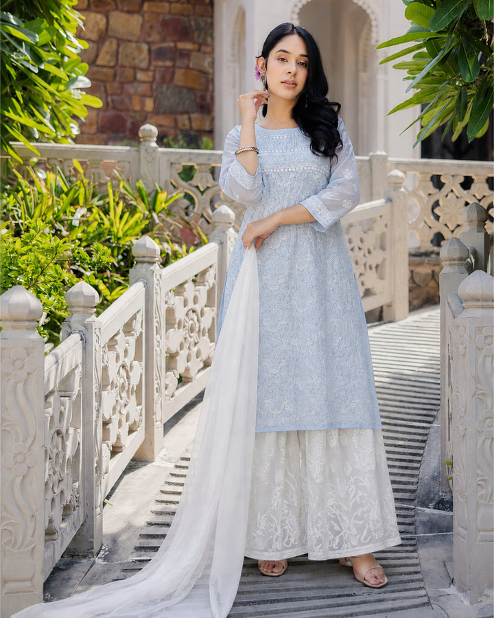 Amira Georgette Chikankari  kurti