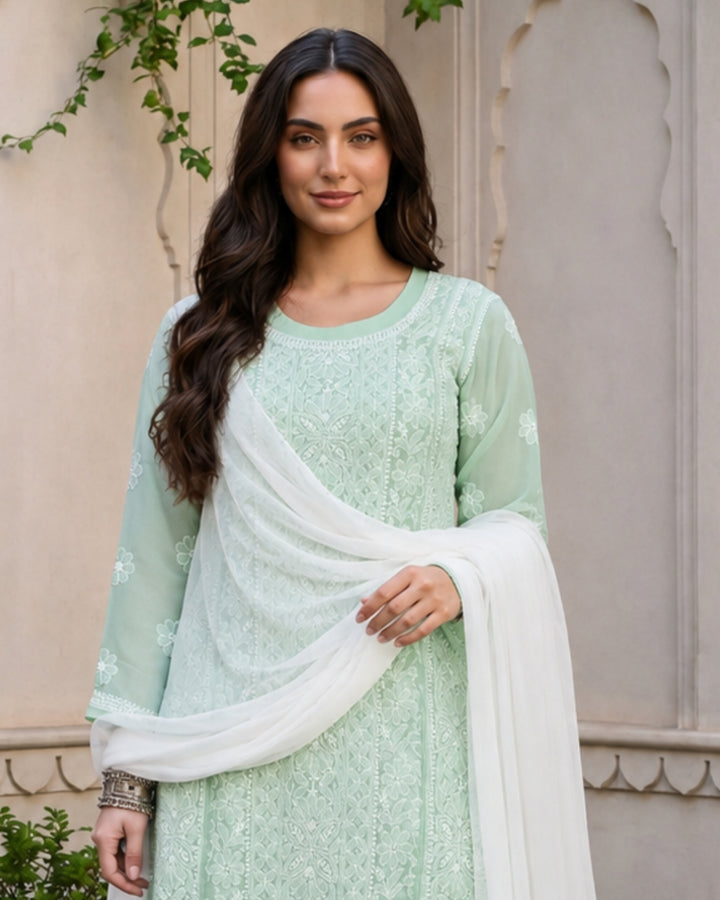 Amira Georgette Chikankari  kurti