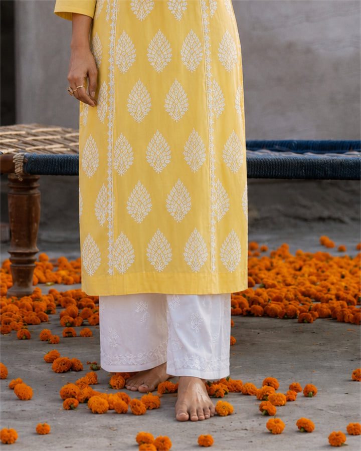SARA Modal Chikankari  Kurti
