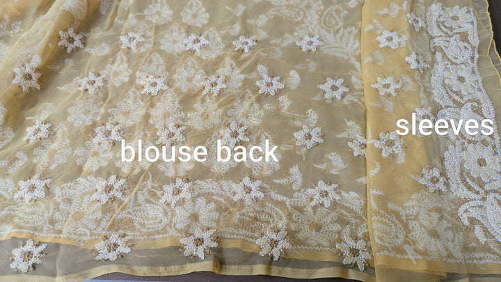Faux Georgette Hand Chikankari Saree with Exclusive Border & designer Palla Design | Embroidered Blouse Included | Authentic Lucknow Handicraft by Paridhan Chikan