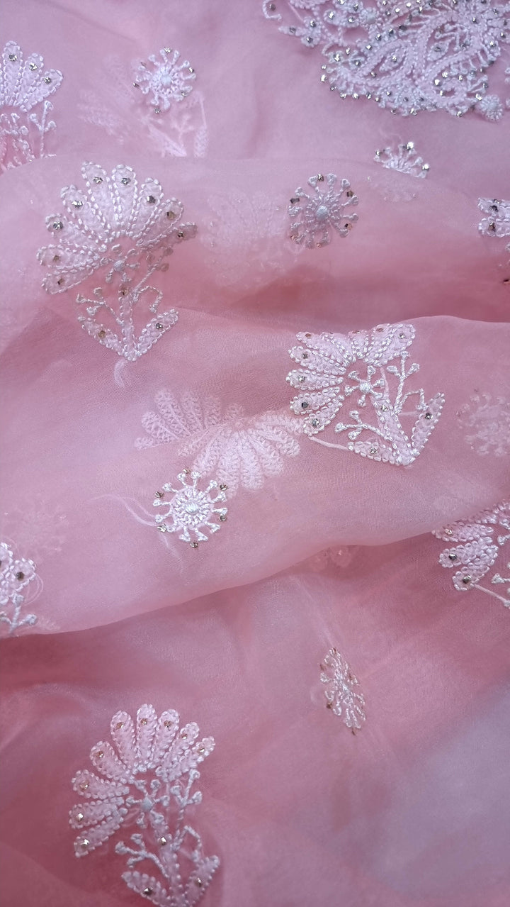 Organza chikankari dress material