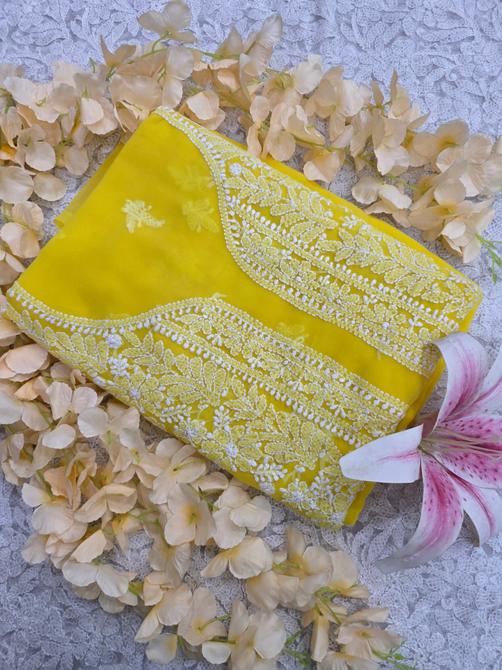 Lucknowi Georgette Chikankari Dress Material – Hand Embroidery Kurta, Bottom & Dupatta | Festive Queen Shades