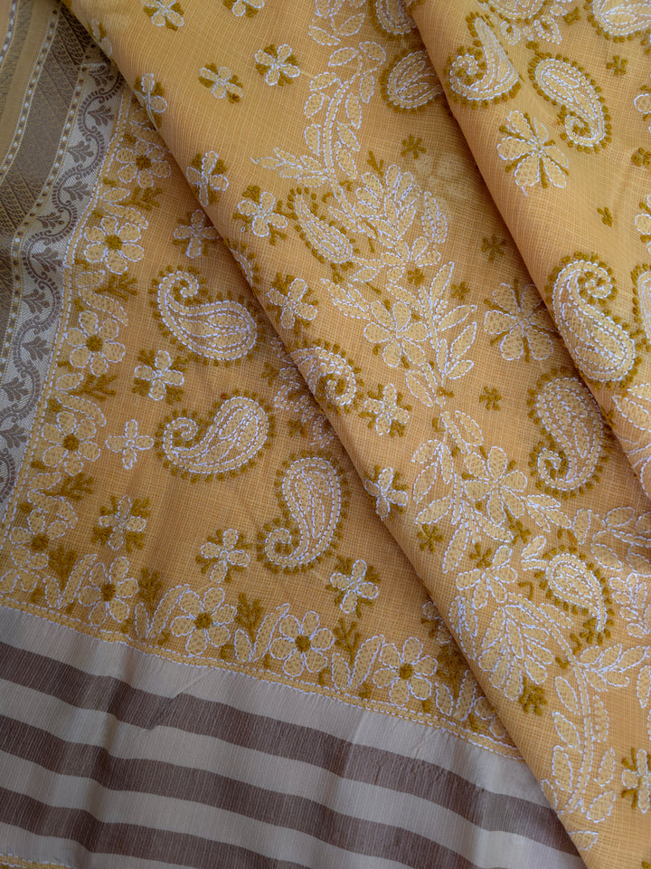 Hand Embroidered Chikankari Banarasi Silk Saree with Intricate Border & Palla Pattern – Includes  Blouse | Paridhan Chikan