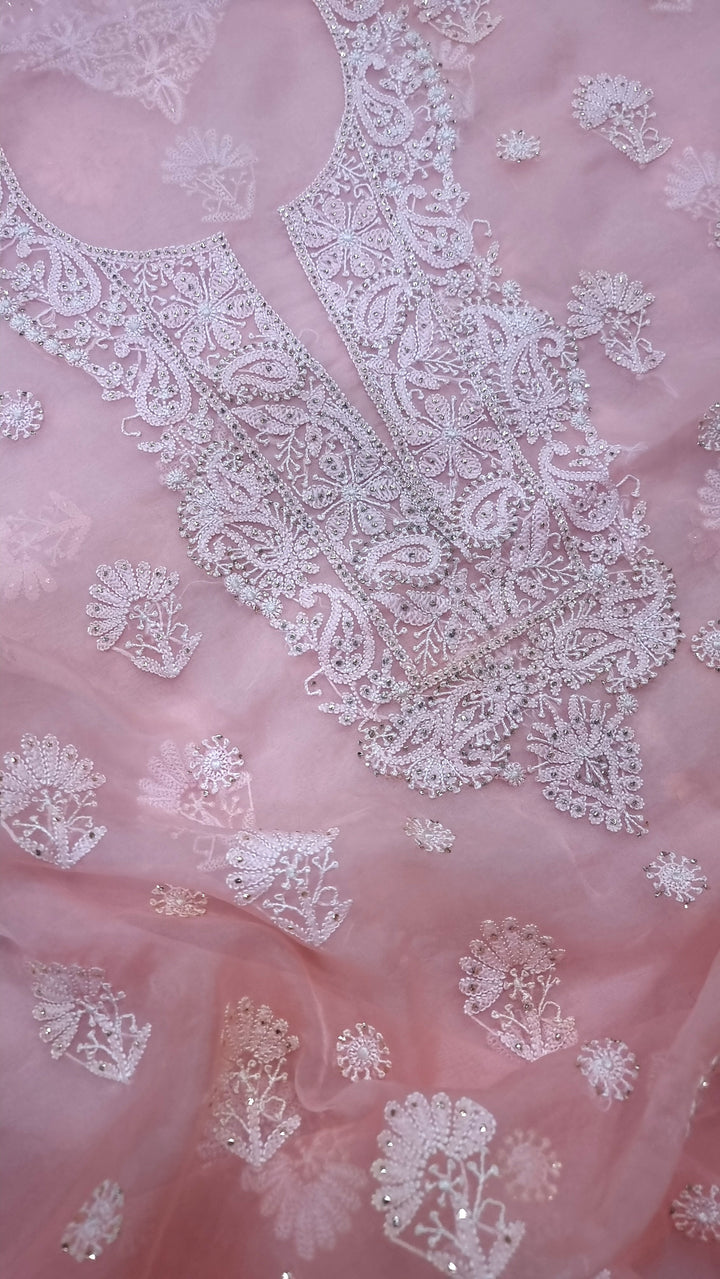 Organza chikankari dress material